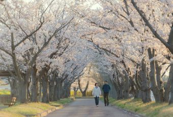 Menikmati 6 Destinasi Wisata Alam di Jepang