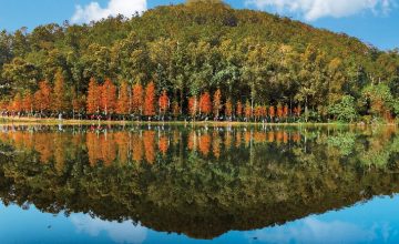 8 Petualangan di Alam Bebas Saat Liburan ke Hong Kong