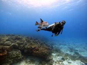 Dari Indonesia sampai Meksiko, 10 Destinasi Impian untuk Scuba Diving