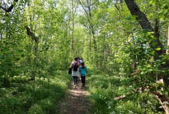 Di Pulau ini Wisatawan Dilarang Bawa Ponsel