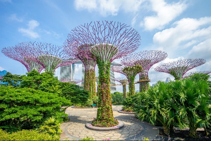 changi singapura