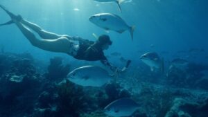 Belmond dan Parley for the Oceans Galang Komitmen Jaga Ekosistem Laut