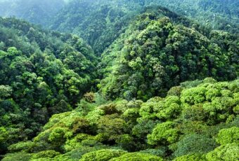 Qianjingyuan, Taman Nasional Pertama di Tiongkok Kini Jadi Inspirasi Sustainable Dunia