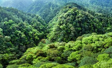 Qianjingyuan, Taman Nasional Pertama di Tiongkok Kini Jadi Inspirasi Sustainable Dunia