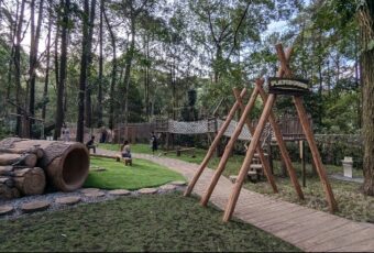 Begini Rasanya Piknik di Tengah Hutan Enchanting Forest