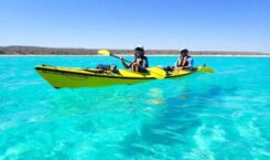 Petualangan Seru di Ningaloo Reefs, Australia Barat