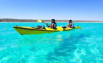 Petualangan Seru di Ningaloo Reefs, Australia Barat