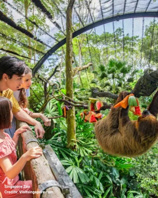 liburan singapura