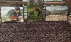Di Balik Wangi Aroma Kopi “World of Coffee Jakarta 2025”