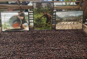 Di Balik Wangi Aroma Kopi “World of Coffee Jakarta 2025”