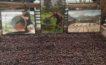 Di Balik Wangi Aroma Kopi “World of Coffee Jakarta 2025”