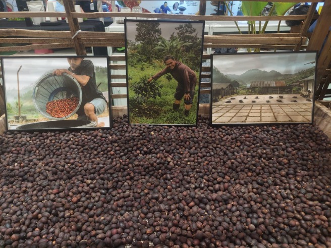 Di Balik Wangi Aroma Kopi “World of Coffee Jakarta 2025”