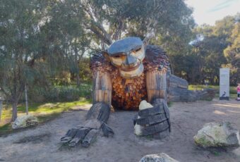 Bertualang Mencari Raksasa Penjaga Mandurah