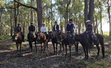 Berkuda di Jalur Sunyi Jesters Flat, Australia Barat