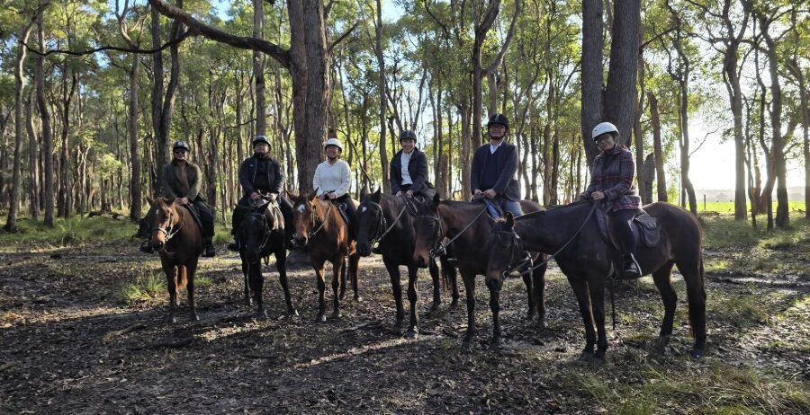 Berkuda di Jalur Sunyi Jesters Flat, Australia Barat