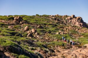 5 Alasan Liburan di Australia Barat, dari Healing Sampai Adventure Semua Ada!