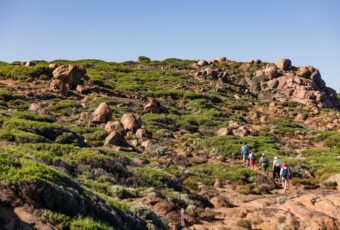 5 Alasan Liburan di Australia Barat, dari Healing Sampai Adventure Semua Ada!