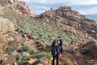 Cape to Cape Track: Sebuah Perjalanan untuk Merenung