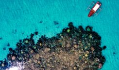 Pengalaman Holistik 4 Hari 3 Malam di Tanjung Kelayang Reserve