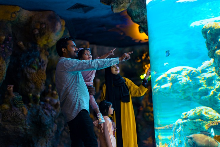 saudi laut merah
