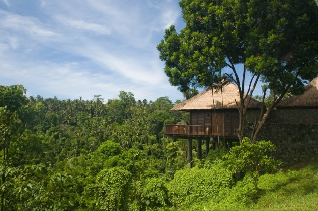 Sebuah Harmoni Baru di Alila Ubud