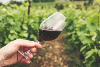 Indonesia Resmi Miliki Certified Sommelier Pertama dari Court of Master Sommeliers