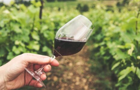 Indonesia Resmi Miliki Certified Sommelier Pertama dari Court of Master Sommeliers