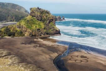 MICHELIN Guide Mulai Jajaki Kuliner Berkelas di Selandia Baru