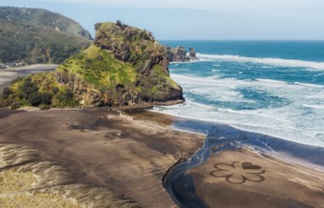 MICHELIN Guide Mulai Jajaki Kuliner Berkelas di Selandia Baru