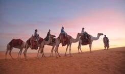 Tak Sekadar Wisata Religi, ini Inspirasi Liburan Wellness di Saudi