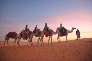 Tak Sekadar Wisata Religi, ini Inspirasi Liburan Wellness di Saudi