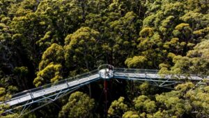 Underrated! Ini 5 Wisata di South West Australia yang Bikin Lupa Bali