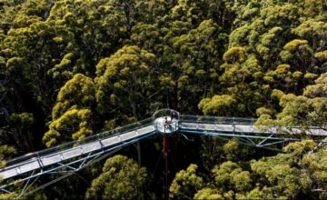 Underrated! Ini 5 Wisata di South West Australia yang Bikin Lupa Bali