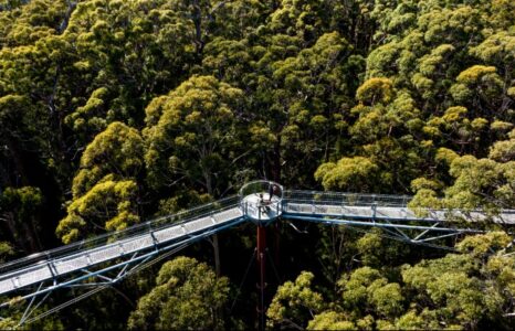 Underrated! Ini 5 Wisata di South West Australia yang Bikin Lupa Bali