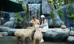 Marine Safari Bali, Destinasi Liburan Sekolah di Bali yang Seru…
