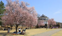 Yamanashi dan Hyogo, Dua Destinasi yang Mendefinisikan Ulang Wellness Travel…