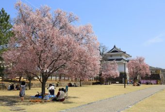 Yamanashi dan Hyogo, Dua Destinasi yang Mendefinisikan Ulang Wellness Travel di Jepang