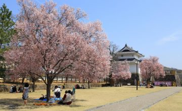 Yamanashi dan Hyogo, Dua Destinasi yang Mendefinisikan Ulang Wellness Travel di Jepang