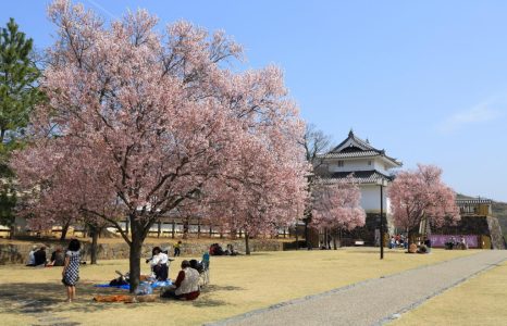 Yamanashi dan Hyogo, Dua Destinasi yang Mendefinisikan Ulang Wellness Travel di Jepang