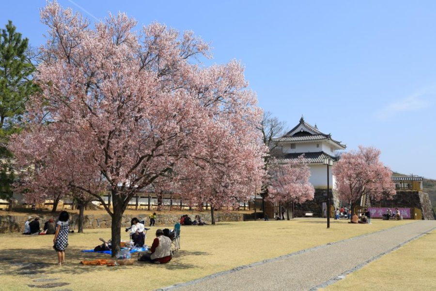 Yamanashi dan Hyogo, Dua Destinasi yang Mendefinisikan Ulang Wellness Travel di Jepang