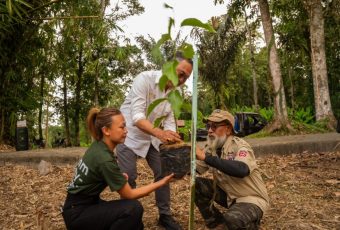 Nuanu Tanam 100 Pohon di Batukaru, Aksi Hijau untuk Masa Depan Bali
