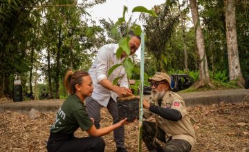 Nuanu Tanam 100 Pohon di Batukaru, Aksi Hijau untuk Masa Depan Bali