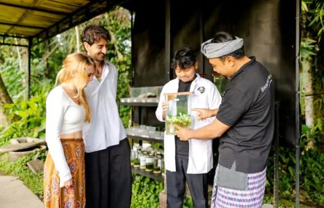 Bali yang Tak Ada di Brosur Wisata: Menemukan Pulau Dewata Lewat Orang-Orang yang Menjaganya