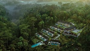 Samsara Ubud, Persembunyian Mewah di Tengah Hutan
