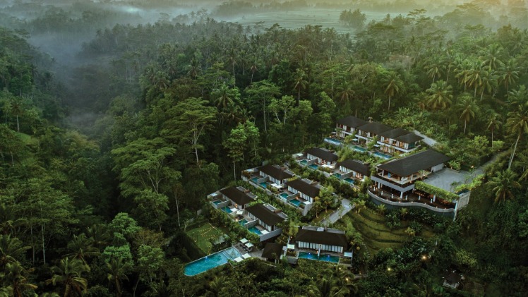 Samsara Ubud, Persembunyian Mewah di Tengah Hutan